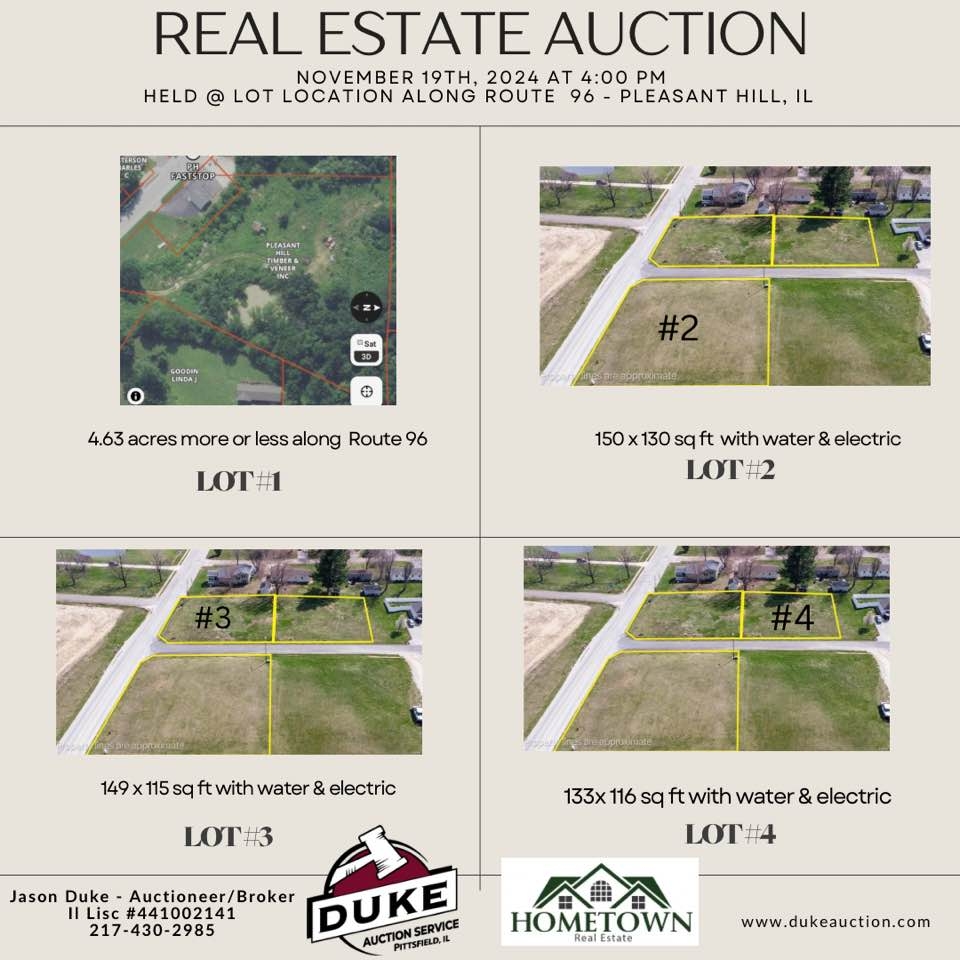 Auction Lots In Pleasant Hill, Illinois